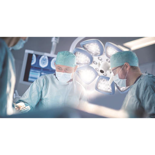 Bayer Stalient 2 nòng - logo (52).png